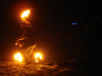 Kerstboomverbranding  31 januari 2015 (11)