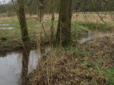 Smokkelroute wandeling in de omgeving van Meerle  21 februari 2016 (11)