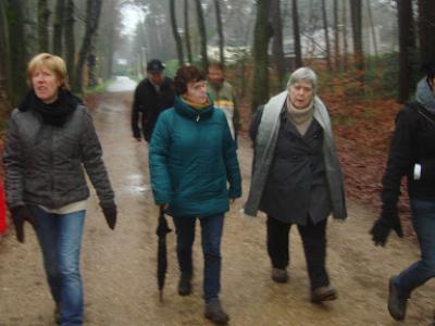 Wandeling het Lotelingspad te Zoersel  24 januari 2016 (11)