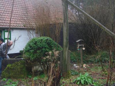 Wandeling het Lotelingspad te Zoersel  24 januari 2016 (8)