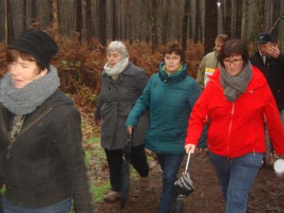 Wandeling het Lotelingspad te Zoersel  24 januari 2016 (9)