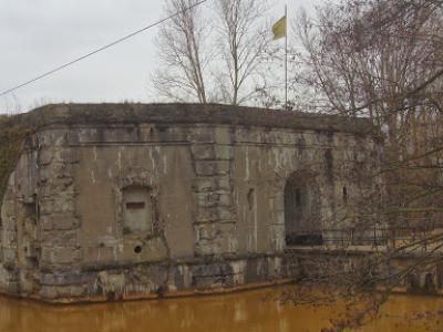 Wandeling rond Stabroek  26 januari 2014 (7)