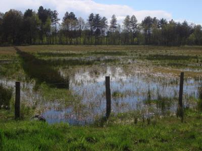Wandeling te Beerse ( Schrieken ) met gids  24 april 2016 (16)