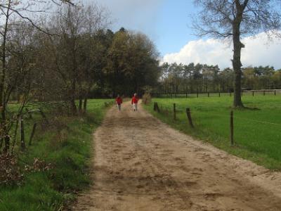 Wandeling te Beerse ( Schrieken ) met gids  24 april 2016 (18)