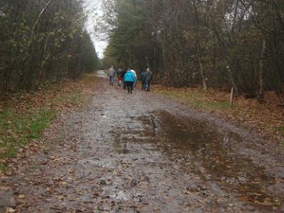 Wandeling te Ruchpen Nederland  15 november 2015 (15)